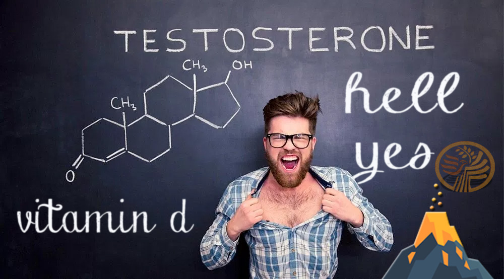 Testosterone Vitamin D